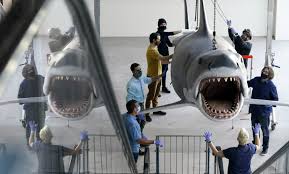 Jaws screen reading software the latest version of jaws can be downloaded using the links below. Bruce The Last Jaws Shark Docks At The Academy Museum