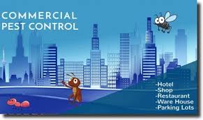 Sydney cockroaches, termites, bed bugs, fleas syd pest control helps to remove and prevent pests from your home sydney wide with the best we understand that it is hard to find time for appointments, so we offer you late evening and. Fast Pest Control Sydney Professional Pest Exterminators 0488 849 399