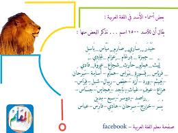 تعددت أسماء الأسد في اللغة العربية الل غ ـــة ال ع ر ب ي ـــة Facebook