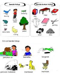 Murid menerangkan kenapa lakaran mereka ditampal di ruangan tersebut. 18 Sains Tahun 1 Ideas Image Search Image Yahoo Images