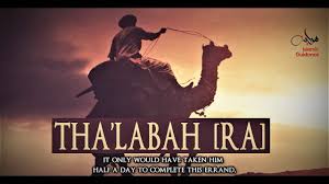 No movie since the black stallion has achieved a comparable, uncanny sensation of intimacy with particular animals. Tha Labah Ra The Crying Sahabi Youtube