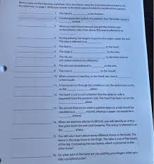 Anatomical terms worksheet in anatomy, specific terms are used to explain the location of body organs, systems, as well as body movement part a: Solved Work In Pairs On The Following Worksheet Fill In Chegg Com