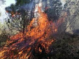 Tepoztlán y el infortunio al día de hoy. 6r1y 9pvayobom