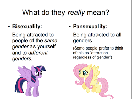 This article was written to clear up some murky areas in sexuality. Bi Vs Pan I M Both And I M Not Sorry Queer Voices