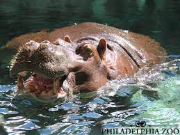 Pin By So Many Places So Little Time On Pennsylvania Philadelphia Zoo Victorian Garden Philadelphia