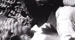 Screening the Lost: Artistic Responses to Archival Absence in The  Watermelon Woman and Nitrate Kisses — photogénie