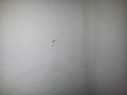 Was die ursache für solche flecken sein kann, und wann eine professionelle sanierung erforderlich ist, können sie ausführlich in diesem beitrag erfahren. Was Habe Ich Fur Flecken An Der Decke Wohnung