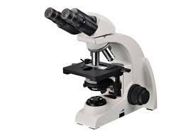 جامعة مجهر مختبر البيولوجية المجهر 4x Ub102i 12pld Biological Microscope University Microscopic
