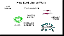 Image result