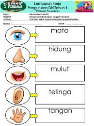 Download as docx, pdf, txt or read online from scribd. Ficha De Fungsi Anggota Badan