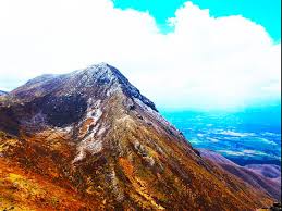 「久住山」の画像検索結果