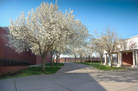 Woodcreek High School Is In West Roseville Ca And Is One Of The Many Great High Schools In The Roseville Joint Unified Sc School District Roseville School Info