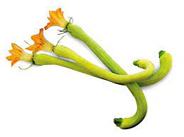 Queste zucchine hanno una forma molto particolare: Zucchina Trombetta Ortofrutta Ca Granda