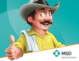 Decongestant Schering-plough Projects :: Photos, videos, logos,  illustrations and branding :: Behance