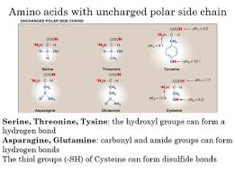 Methionine - An Overview | Sciencedirect Topics