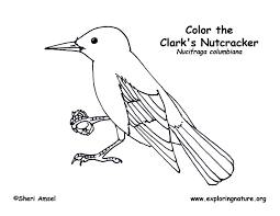 I love this nutcracker coloring sheet. Clark S Nutcracker Coloring Page