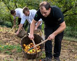 See more of salon international de l'agriculture (page officielle) on facebook. Kupela Redecouvrez Le Cidre Basque