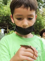 Learning in the Outdoor Montessori Classroom