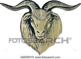 Check spelling or type a new query. Ø§Ù„ÙƒØ´Ù…ÙŠØ± Goat Ø±Ø£Ø³ Ø§Ù„ØªØ®Ø·ÙŠØ· Clipart K52450773 Fotosearch
