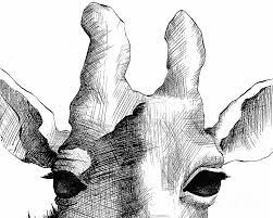 The giraffe's drawing is incomplete without the beautiful patches. Pin On Animals In Art
