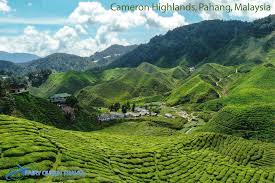 An ultimate list of 30 things to do in pahang! Cameron Highlands Pahang Malaysia Beautiful Places To Visit Most Beautiful Places Beautiful Places
