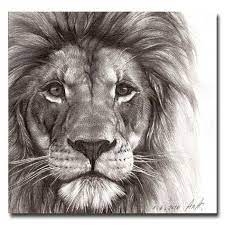 Tattoo Lion Sketch 32 New Ideas Lion Sketch Lion Drawing Lion Head Tattoos