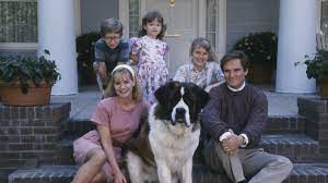 It is the first installment of the beethoven film series. 25 Jahre Ein Hund Namens Beethoven Was Wurde Aus Dem Vierbeiner Universal Tv Germany