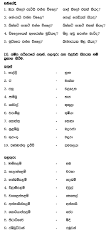 This lesson teaches negation in sinhala, vocabulary list about the human body and finally common phrases. Tamil In Sinhala Part 3 Reading Lesson Homework