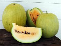 Maybe you would like to learn more about one of these? Missouri Heirloom Watermelon Restoration Seeds