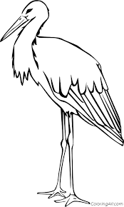 Two storks singing coloring page. Realistic Stork Coloring Page Coloringall