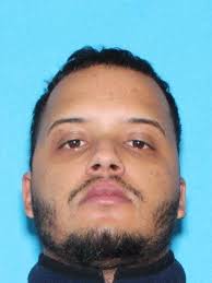 Newsletter (Soft Blue design)