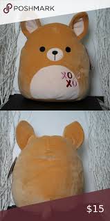 Nwt Squishmallows Chauncy 11 Chihuahua Plush Chihuahua Plush Pets