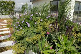 Dachgarten Und Dachterrassen Potsdamer Garten Garten Fur Berlin Und Brandenburg