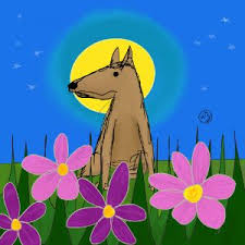 Image result for Nicolasia