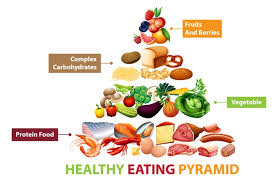 Free Healthy Food Vectors 68 000 Images In Ai Eps Format