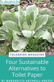 What To Do When You Run Out Of Toilet Paper Tulsakids Magazine In 2020 Toilet Paper Washing Clothes Plant Leaves