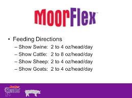 Feeding And Management Of Show Pigs Ppt Video Online Download