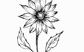 Beragam gambar bunga sakura selain itu, sketsa juga biasa digunakan dalam pencarian… langkah awal untuk membuat sebuah karya berupa gambar atau lukisan adalah membuat sketsa, karena sketsa merupakan bentuk kerangka awal untuk digunakan dalam. Paling Populer 13 Gambar Sketsa Bunga Tulip Mulailah Dengan Menggambar Bentuk Lingkaran Kecil Lukisan Sketsa Bunga For An Sketsa Seni Sketsa Bunga Seni Rupa