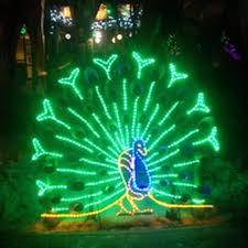 Guide To Christmas In Denver Lights Parades And Holiday Markets Colorado Christmas 12 Days Of Christmas Zoo Lights