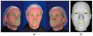 Sensors Free Full Text Three Dimensional Face Reconstruction Using Multi View Based Bilinear Model Html