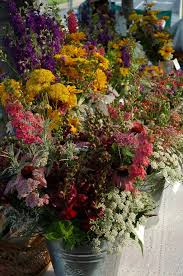 Maybe you would like to learn more about one of these? Flower Fields Localharvest