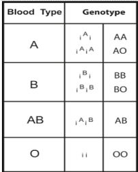 Read the wiki to see if your question has already been answered under the faqs. What Is Codominance Explain With An Example Class 12 Biology Cbse