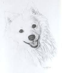 Pomeranian Black American Eskimo Dog White Dog By Miss Cake Custom Dog Art Dog Print Art Dog Art