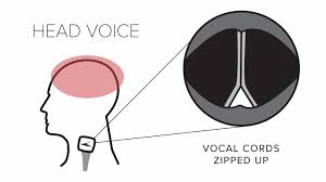 How is chest voice produced? How To Stay On Pitch And Stop Singing Sharp Or Flat Blog The Worship Vocalist