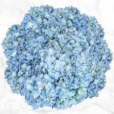 Before purchase, to earn 2.5% in slickdeals cashback at advance auto parts, follow the instruction. Bulk Flowers Costco