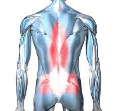 Lower back pain is often caused by and irritation of soft tissues around the spine. Chronic Pain In The Lower Back
