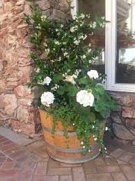 Half Wine Barrel With Natural Wood Stain Made Into A Planter Weinfass Garten Pflanzen Pflanzgefasse