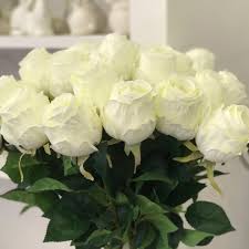 We did not find results for: Rose Bianche Artificiali Gambo Lungo Fioriartificiali Fioriartificialirealtouch Fiori Artificial Flower Arrangements Artificial Flowers Flower Arrangements