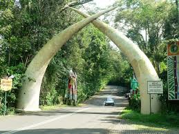 Hasil gambar untuk taman safari indonesia