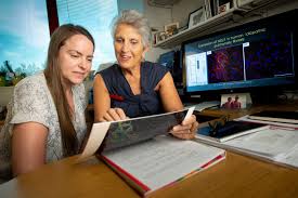 Rare inherited enzyme disorder yields insight